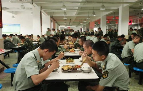 規范機關食堂餐飲服務，國家下一步或出臺新規